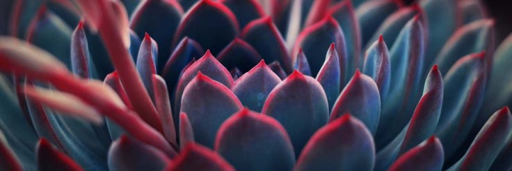 Témoignage Trame et Kinésiologie à Amiens