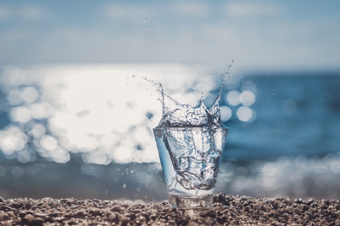 plasma marin hypertonique isotonique